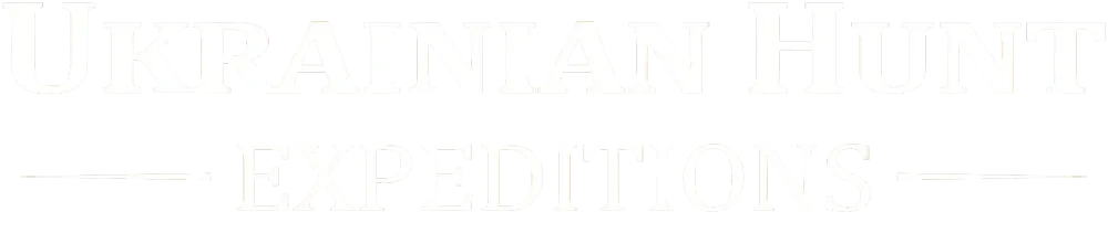 logo33