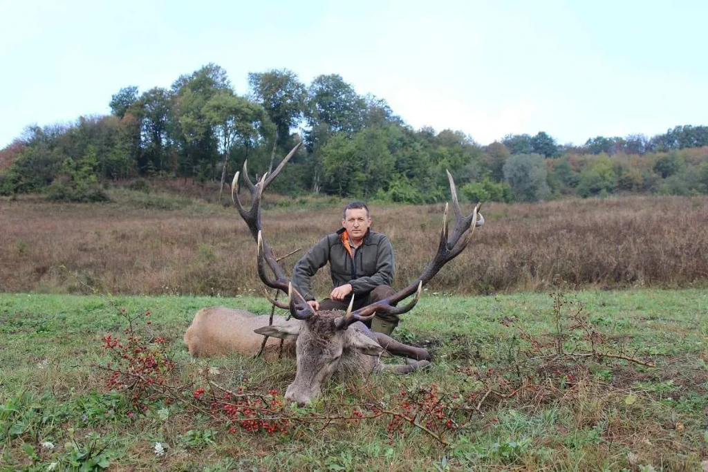 red_deer_img8