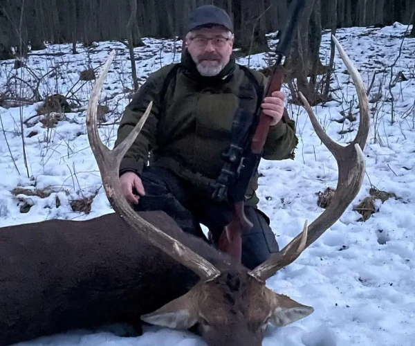 manchur_deer_img1