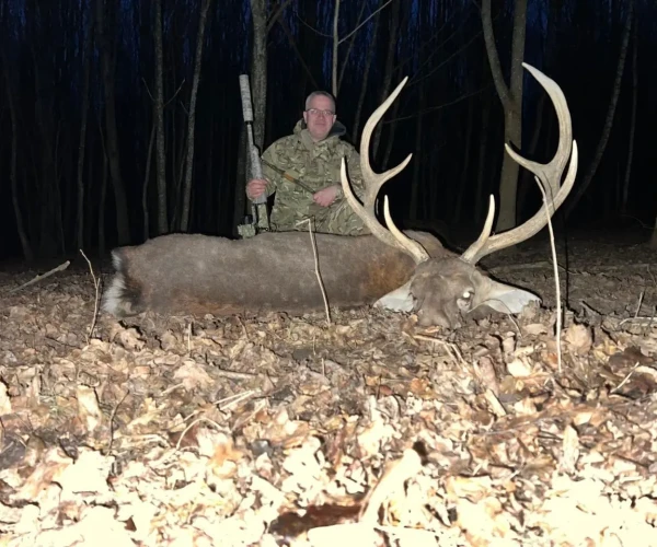 manchur_deer_img9