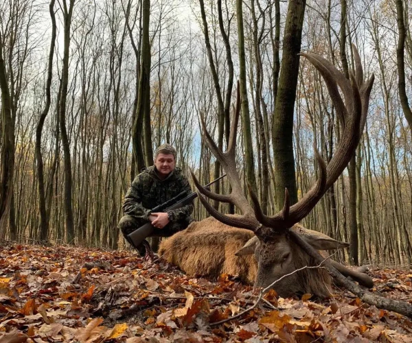 red_deer_img11