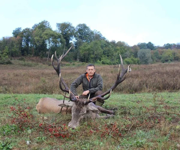 red_deer_img8